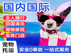 承德机场空运国际宠物托运 【国